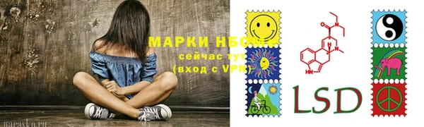 соль ск Алексин