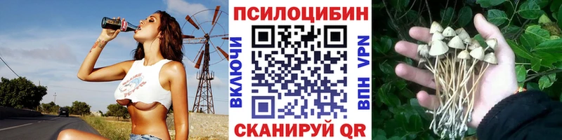 KRAKEN зеркало  Межгорье  Псилоцибиновые грибы мухоморы 